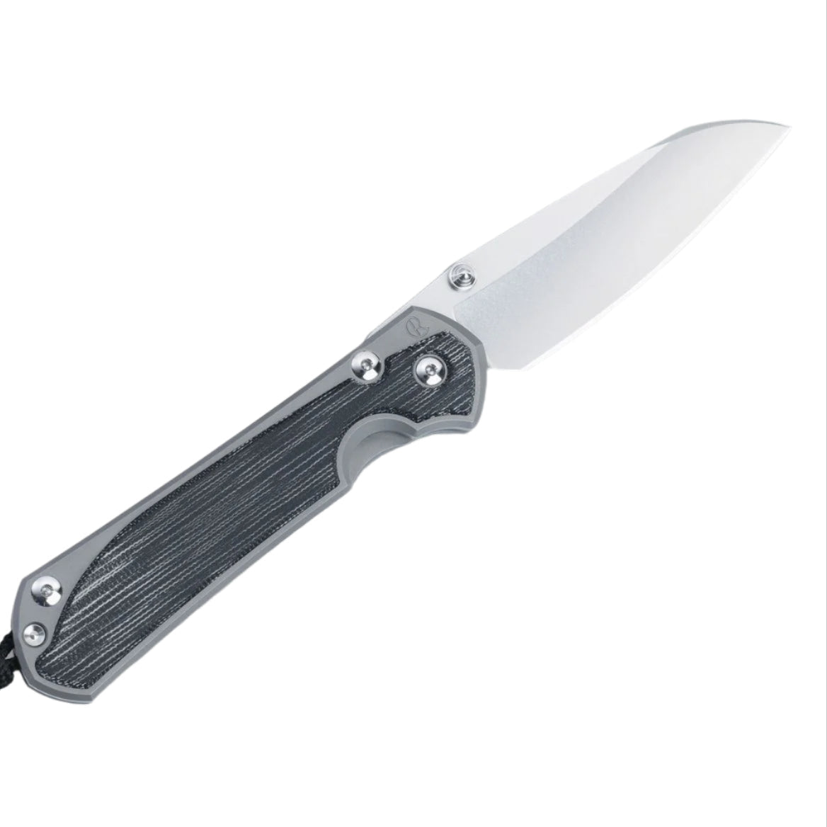 Chris Reeve Knives Large Sebenza 31 - Glass Blasted - Black Canvas Micarta Inlay - Insingo - L31-1225